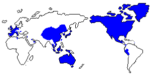 World Map